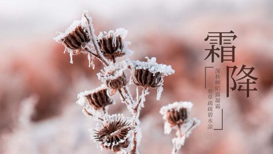 24节气霜降优美风景电脑壁纸第6张