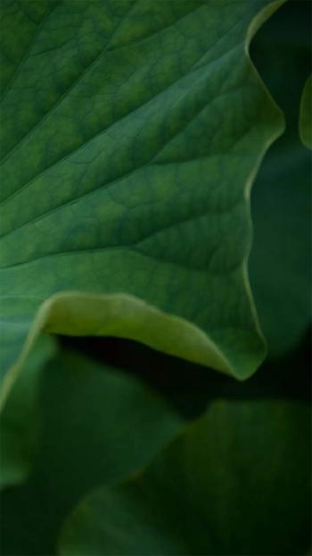 图片 _ 第(9)张