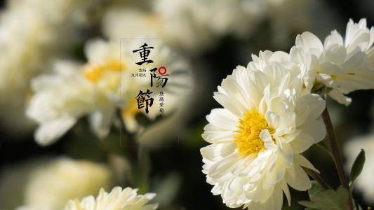 第1张