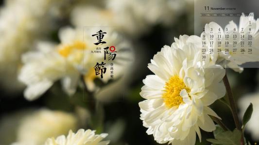 第1张