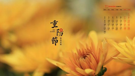 南非万寿菊高清桌面壁纸第5张