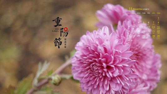 图片 _ 第(8)张