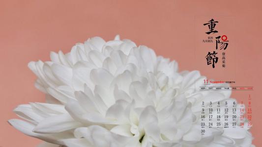 图片 _ 第(9)张