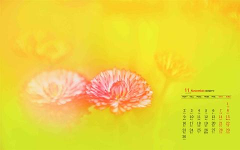 图片 _ 第(8)张