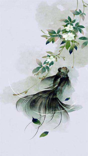 淡水鱼图片 _ 第(8)张