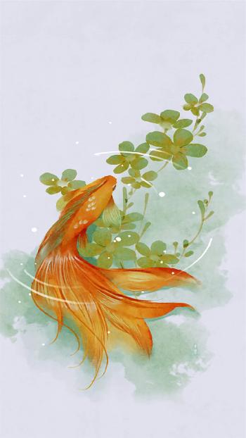 淡水鱼图片 _ 第(9)张