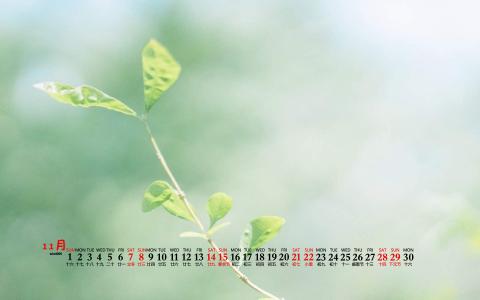 清新护眼自然风光高清图片第1张