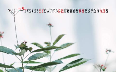 护眼桌面壁纸图片 _ 第(8)张