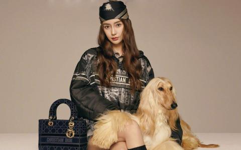 精选可爱萌宠汪星人图片 十二生肖狗图片第0张