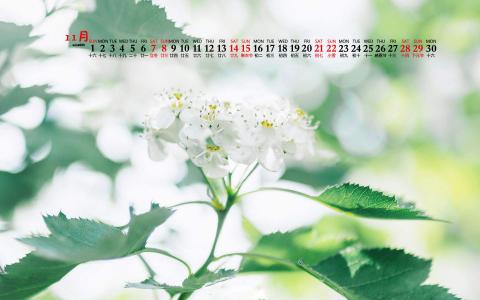护眼桌面壁纸图片 _ 第(7)张