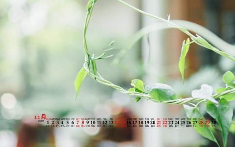 护眼桌面壁纸图片 _ 第(9)张