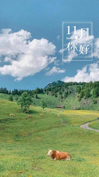 迪丽热巴星光纱裙高清手机壁纸第3张