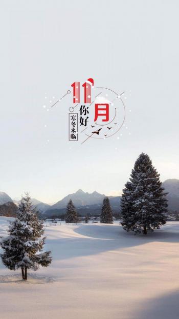 迪丽热巴星光纱裙高清手机壁纸第4张