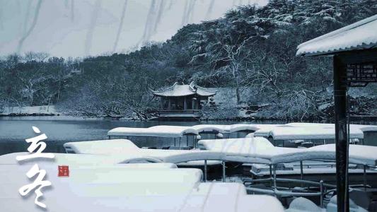 2017新年快乐金鸡报喜高清桌面壁纸第0张