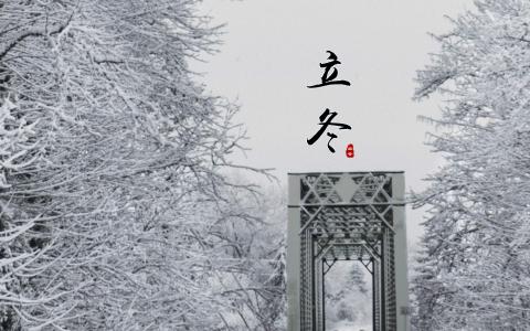 元旦新春中国结高清桌面壁纸第2张