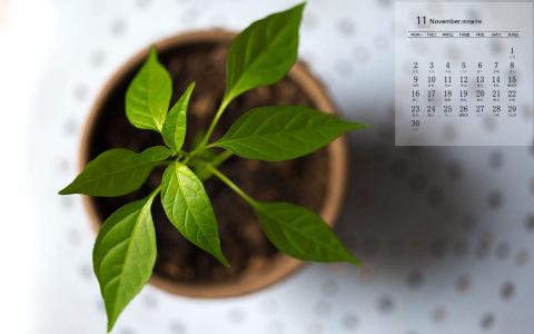 护眼桌面壁纸图片 _ 第(8)张