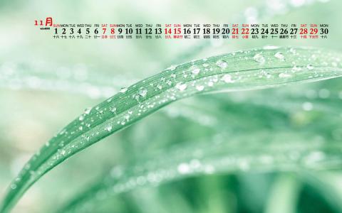 精选自然风景高清图片壁纸第5张