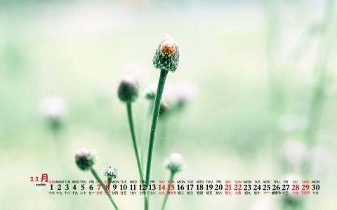 自然风景图片 _ 第(9)张