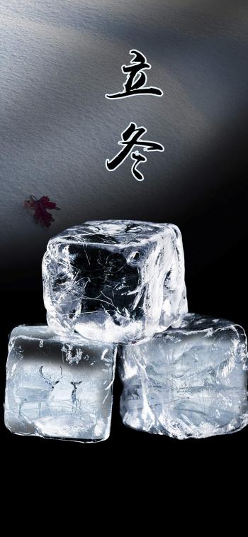 第3张