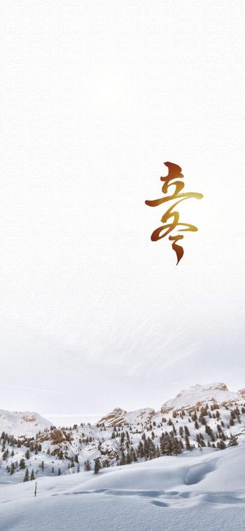 端午节美味粽子高清图片苹果手机壁纸第5张