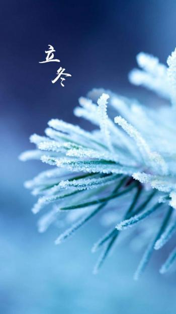 虞书欣优雅性感写真手机壁纸第6张