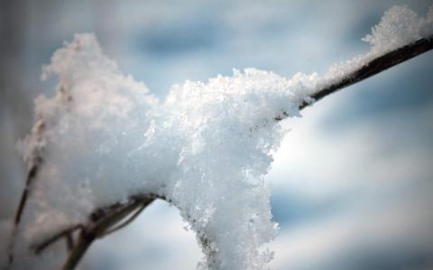 雪景图片 _ 第(3)张