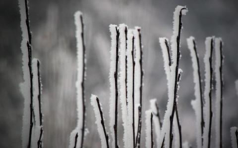 雪景图片 _ 第(8)张