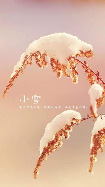 第1张