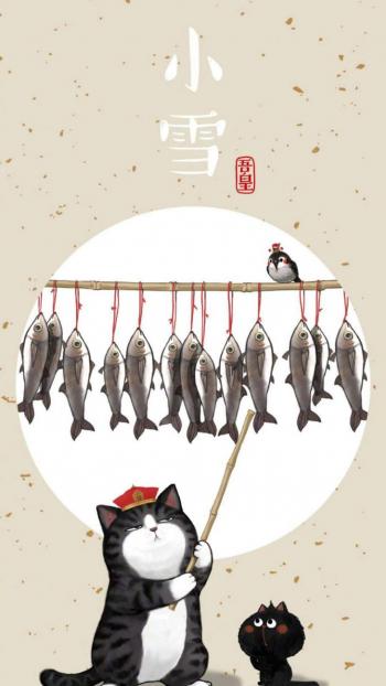 第3张