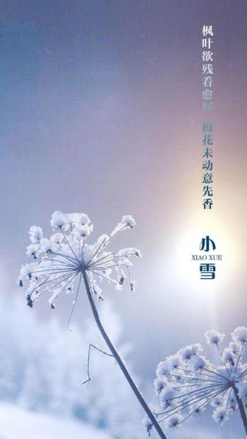 小清新手绘插画高清手机壁纸第4张