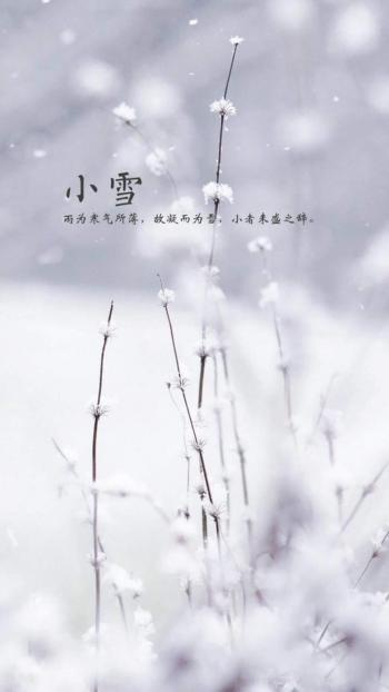 小清新手绘插画高清手机壁纸第5张
