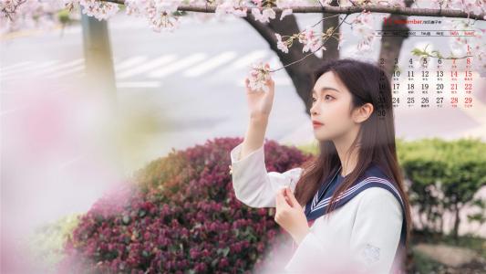 清新粉嫩的樱花图片桌面壁纸第3张