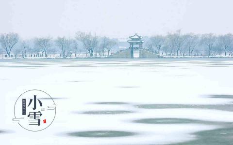 哈咪猫2017万圣节可爱卡通桌面壁纸第2张