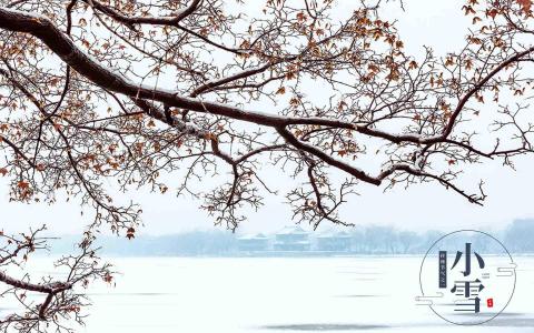 哈咪猫2017万圣节可爱卡通桌面壁纸第4张