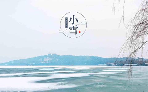 哈咪猫2017万圣节可爱卡通桌面壁纸第5张