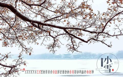 哥伦比亚冰川湖风景图片第4张