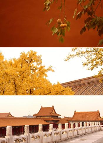 手机壁纸图片 _ 第(9)张