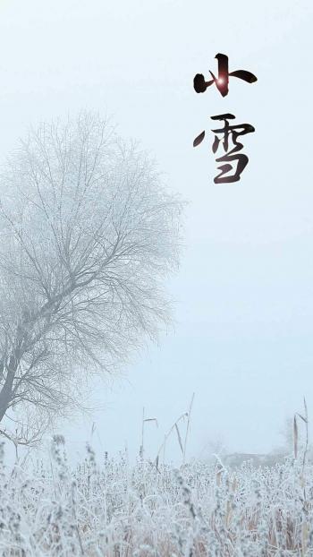 手机壁纸图片 _ 第(8)张