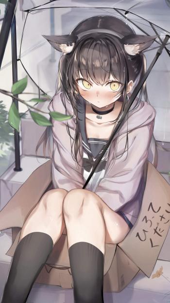 第1张