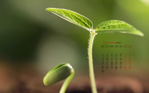 美女图片 _ 第(3)张
