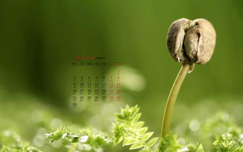 美女图片 _ 第(6)张