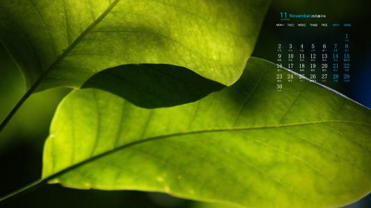 绿色植物图片 _ 第(3)张