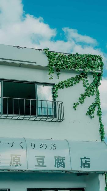 小清新田园风光图片手机壁纸第2张