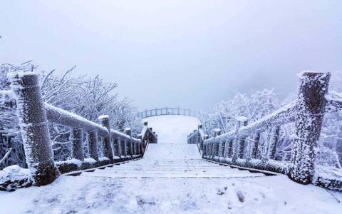 冯若绮清新雪景写真图片第3张