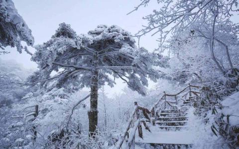 冯若绮清新雪景写真图片第6张