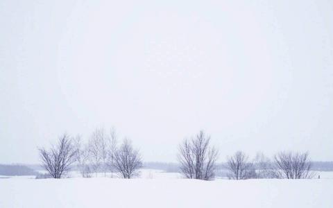 雪景图片 _ 第(1)张