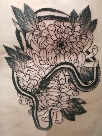 图片 _ 第(1)张