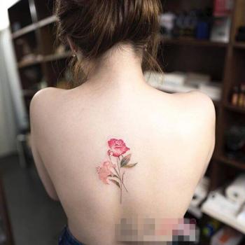 植物水彩艺术插画手机壁纸第0张