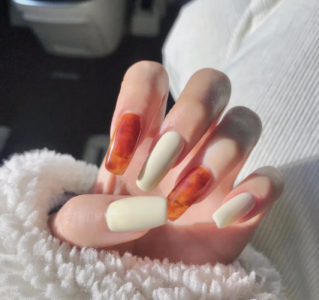 图片 _ 第(12)张