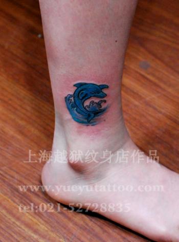 海豚第0张